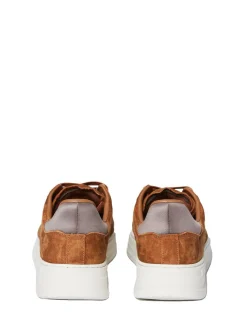 Court Classic Sneaker- Foxtrot/ Tofu/ Falcon